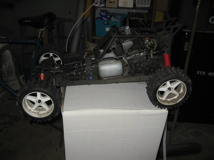 Buggy fg mardar billede 7