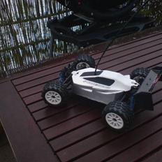 Buggy Team Associated rc18b