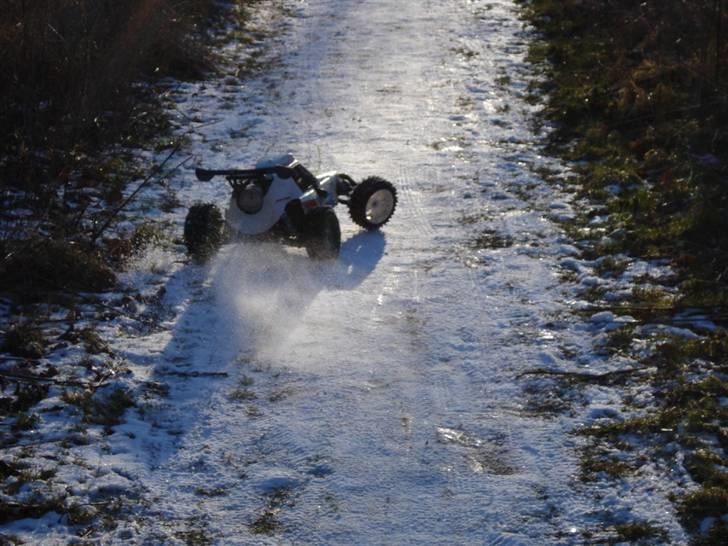 Bil FG Marder RACE billede 5