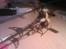Helikopter hurrycane