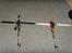 Helikopter ESky Honey Bee King 2 6ch