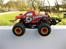 Off-Roader Team Losi Micro Raminator