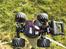 Off-Roader Team Losi Micro Raminator