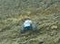 Off-Roader MEGA Force 