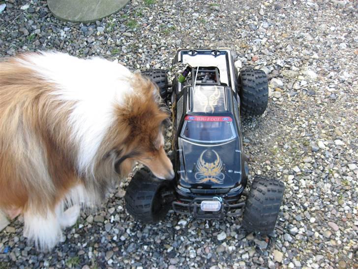 Off-Roader Big Foot billede 13