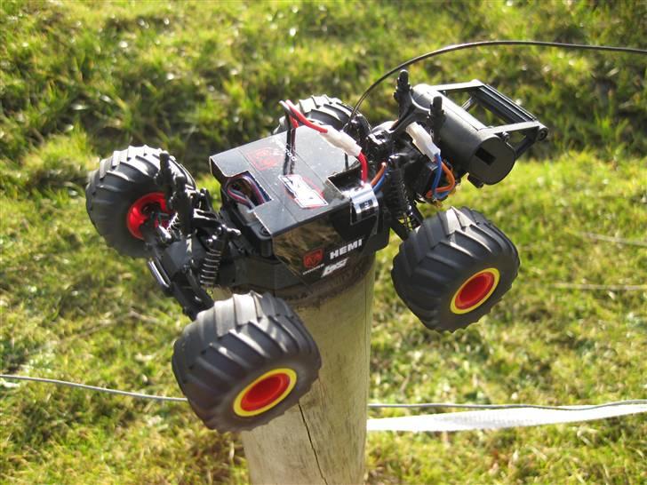 Off-Roader Team Losi Micro Raminator billede 4