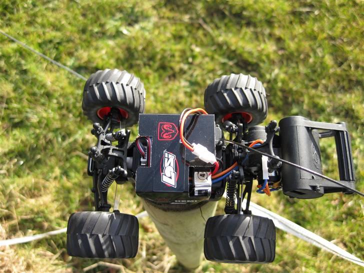 Off-Roader Team Losi Micro Raminator billede 9