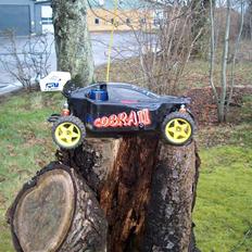 Buggy GVM Cobra 2