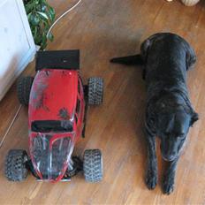 Truck Fg Beetle Pro *BYTTET*