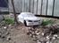 Bil Mitsubishi Lancer 