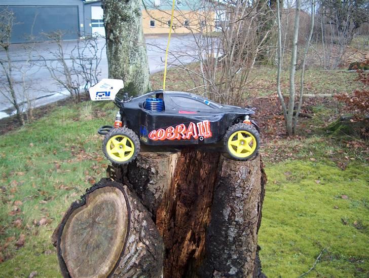 Buggy GVM Cobra 2 billede 1