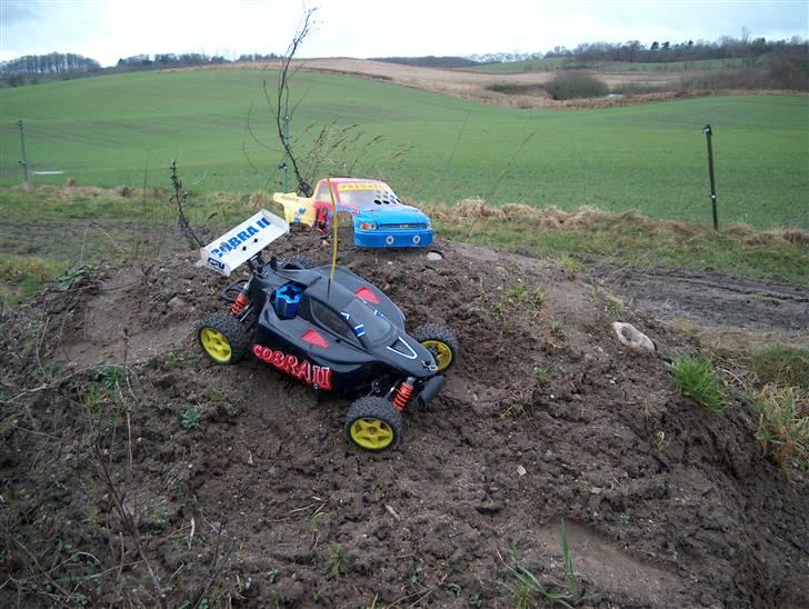 Buggy GVM Cobra 2 billede 4