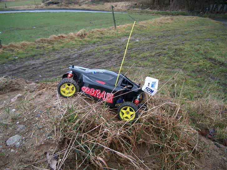 Buggy GVM Cobra 2 billede 5