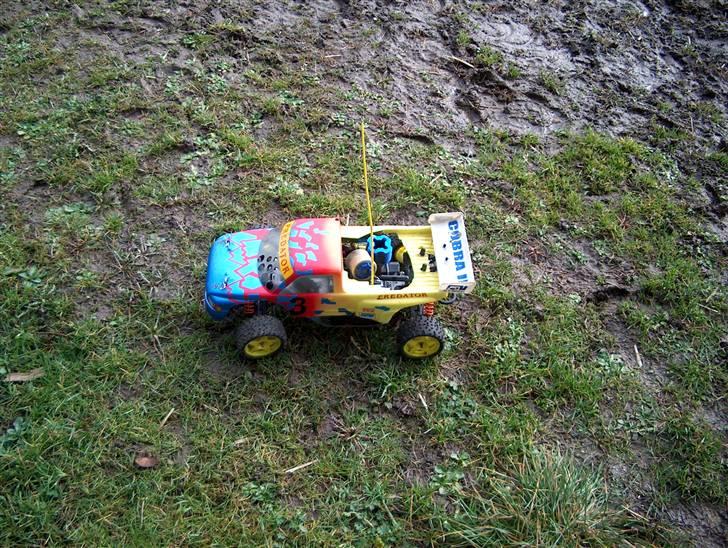 Buggy GVM Cobra 2 billede 7