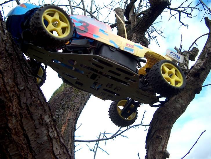 Buggy GVM Cobra 2 billede 10