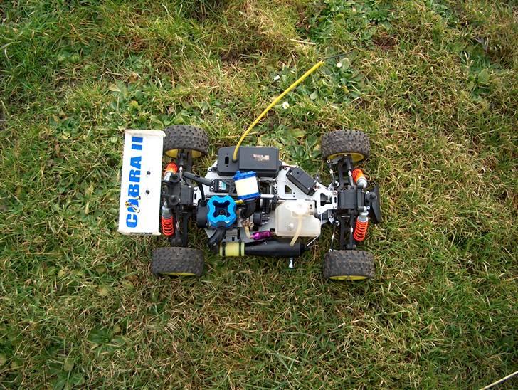 Buggy GVM Cobra 2 billede 11