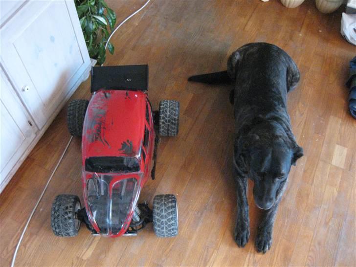 Truck Fg Beetle Pro *BYTTET* billede 2