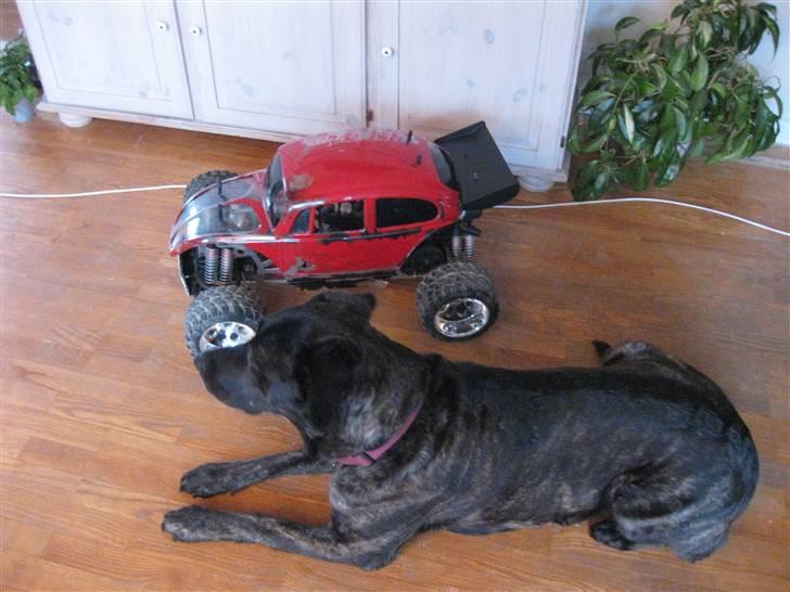 Truck Fg Beetle Pro *BYTTET* billede 3