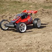 Buggy FG baja