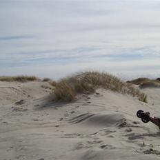 Off-Roader HPI baja 5b ss