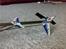 Helikopter Align T-Rex 450SE(solgt)