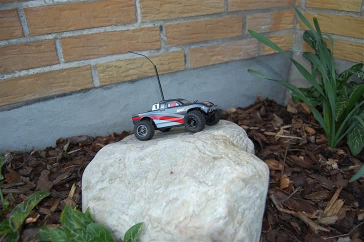 Bil Team Losi Micro-T Desert  billede 14