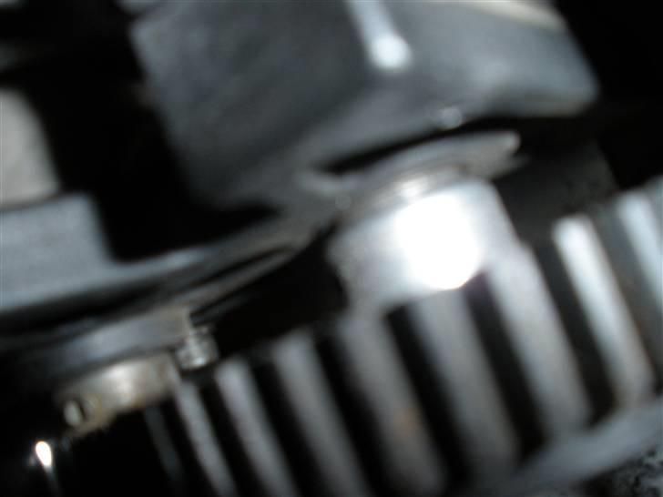 Bil marder (klar til sommer) billede 5