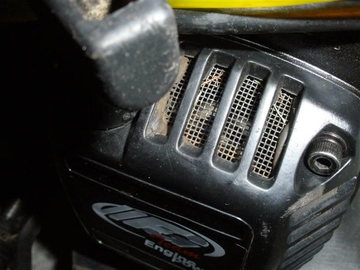 Bil marder (klar til sommer) billede 13