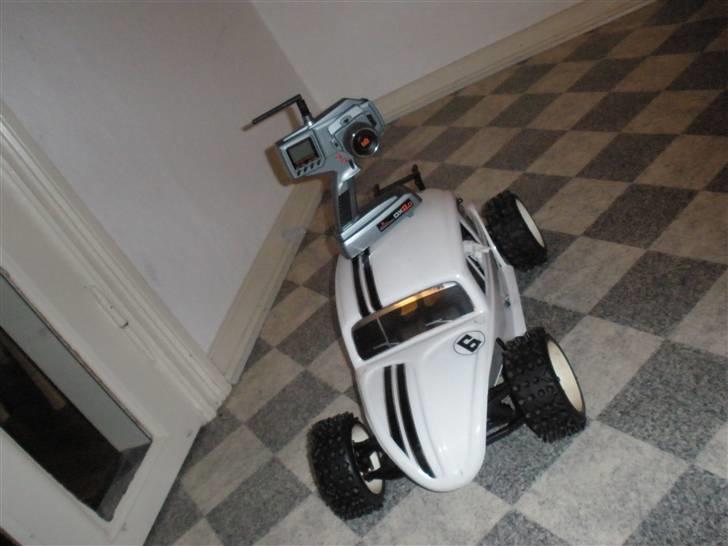 Bil marder (klar til sommer) billede 18