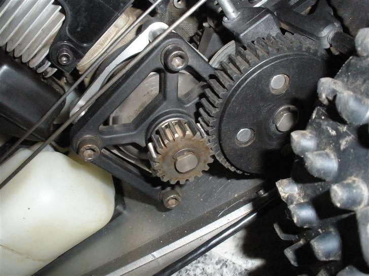 Bil marder (klar til sommer) billede 19