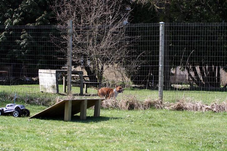 Truck E-Maxx Mamba Monster.! billede 6