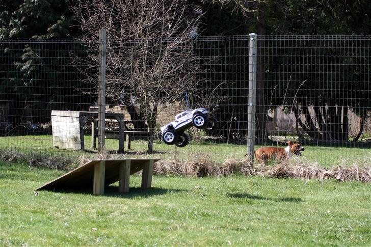 Truck E-Maxx Mamba Monster.! billede 7