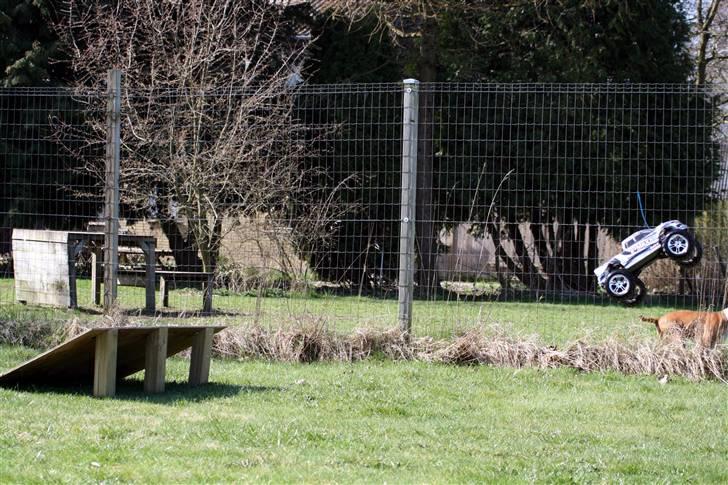 Truck E-Maxx Mamba Monster.! billede 8