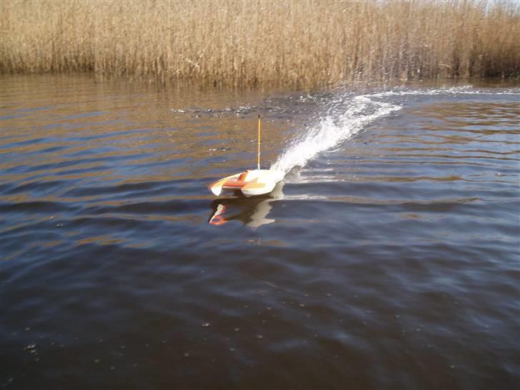 Båd power cat billede 13