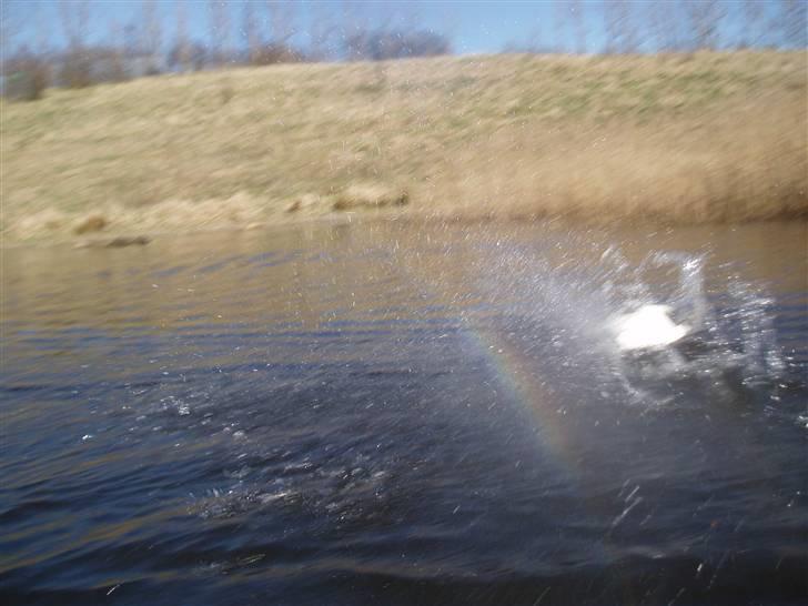 Båd power cat billede 14