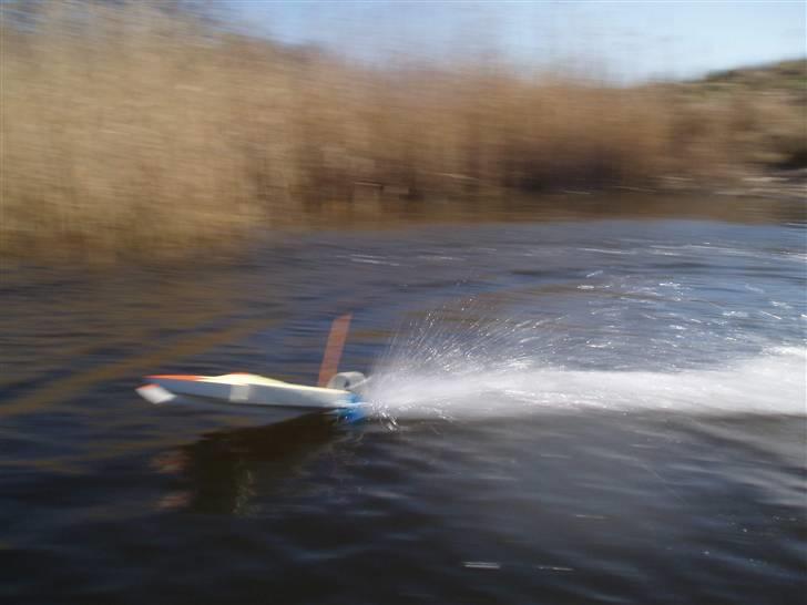 Båd power cat billede 19