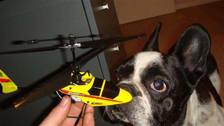 Helikopter Blade MCX billede 7