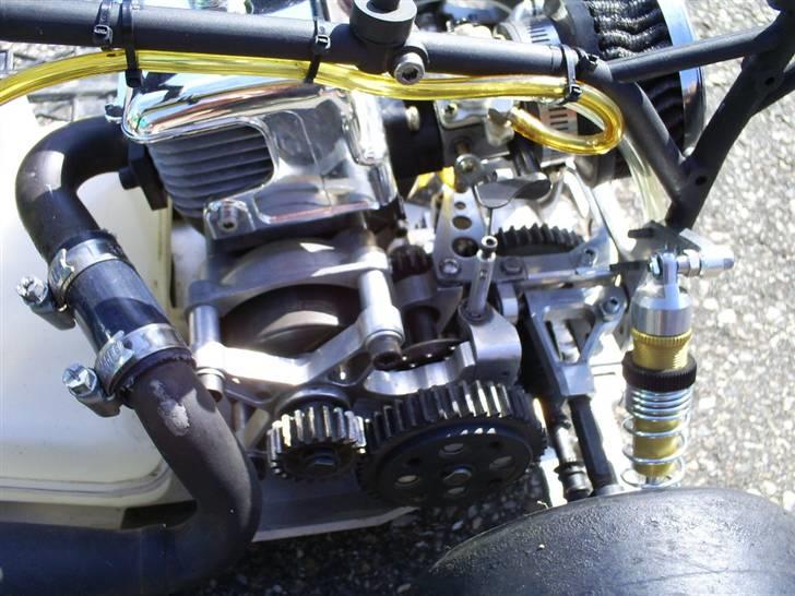 Buggy FG Leopard (SOLGT) R.I.P billede 7