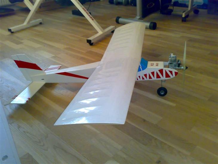 Fly No.1 billede 1