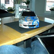 Bil Peugeot 206..Projekt