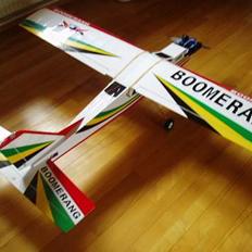 Fly Seagull Bommerang