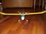 Fly Falcon F-360
