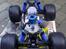 Truck Team Losi Monstertruck LS