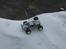 Truck Team Losi Mini-T
