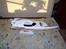 Båd EP RACING BOAT