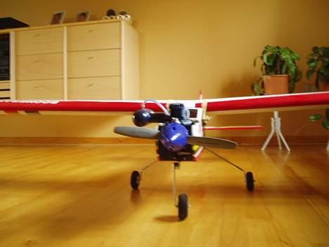 Fly Seagull Bommerang billede 2