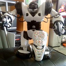 Robot Robo Sapien