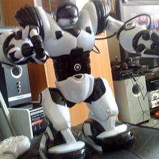 Robot Robo Sapien