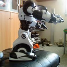 Robot Robo Sapien
