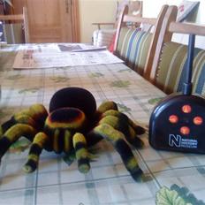 Robot Tarantula
